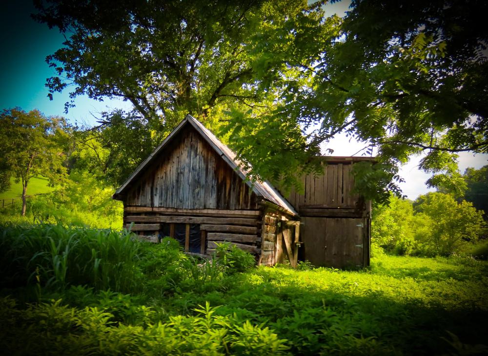 An old barn sits road side in Cosby, Tennessee surrounded by over grown brush and grass 