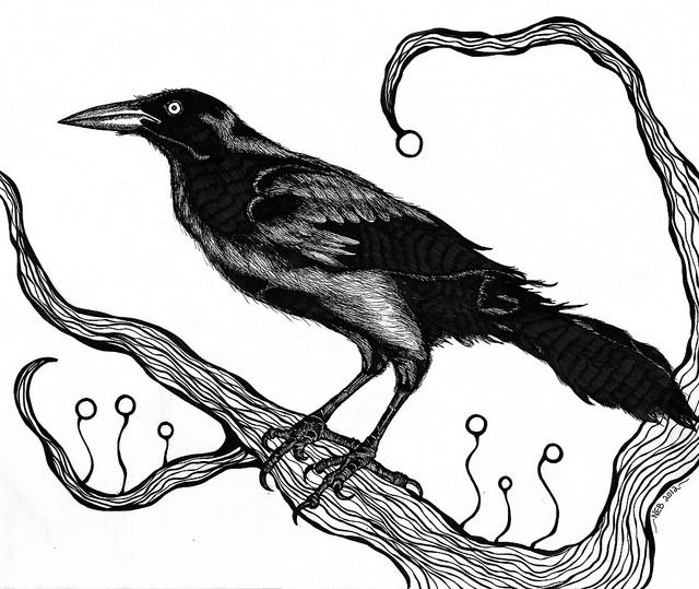 Raven Study (Black & White)
