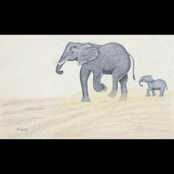 "Wait For Me" - Elephants