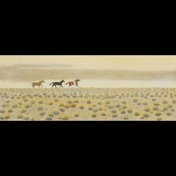 "Wild Country" - Wild Horses