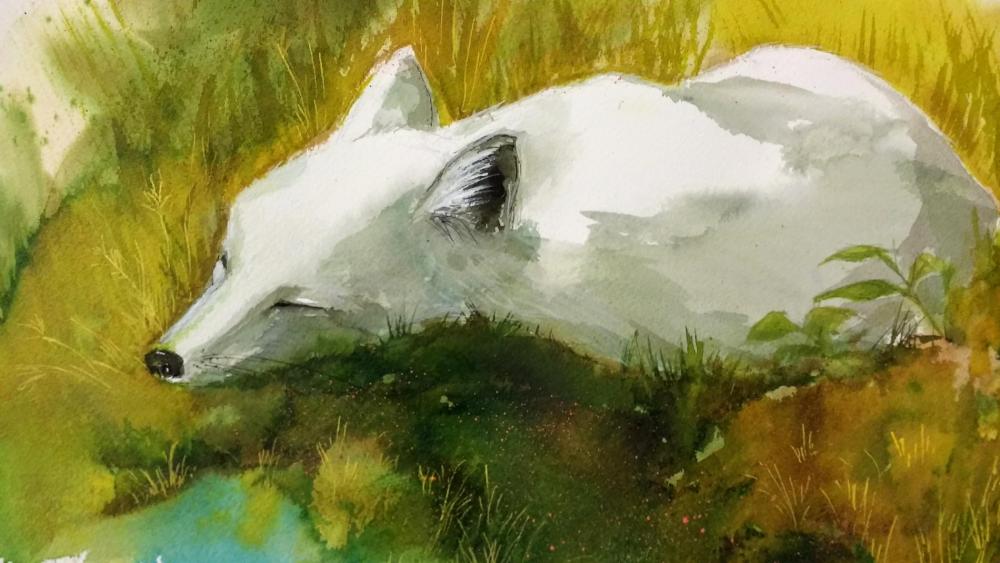 Little White Fox
