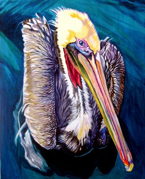 cabo Pelican