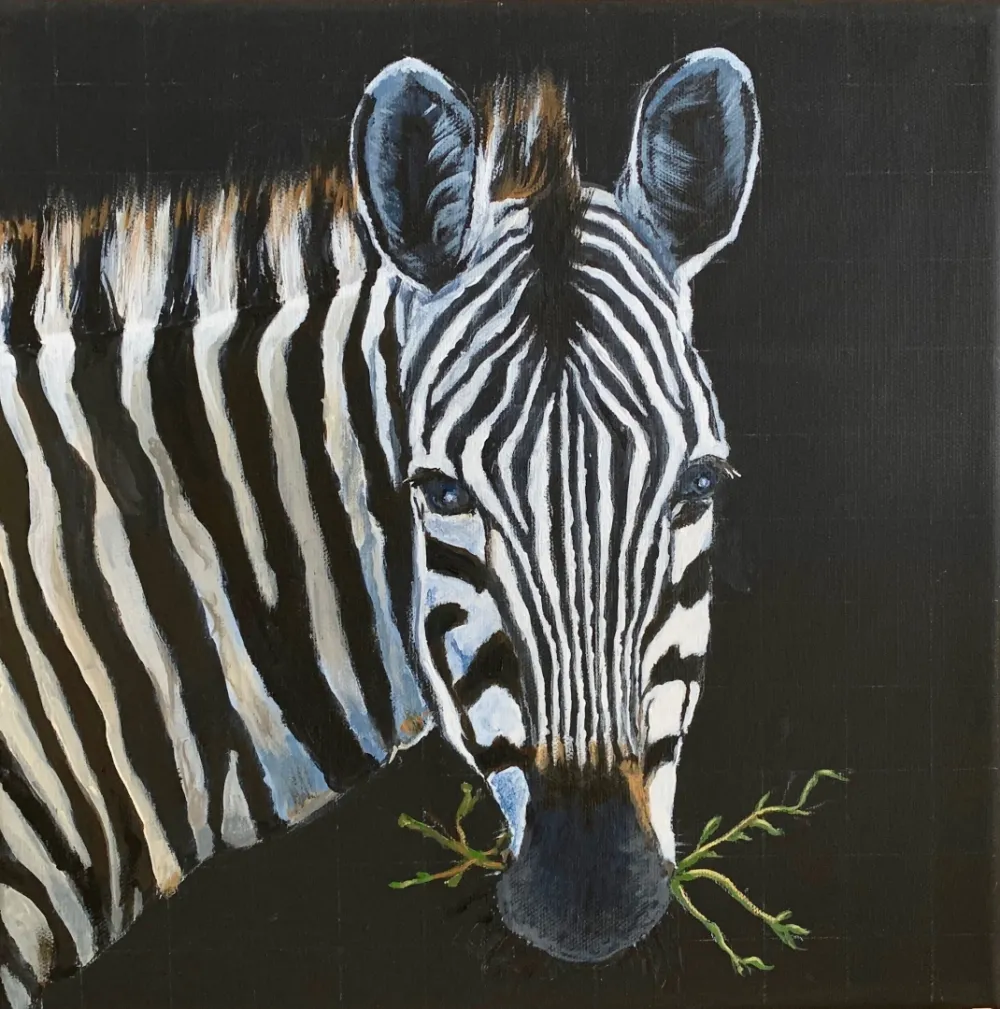 Zebra