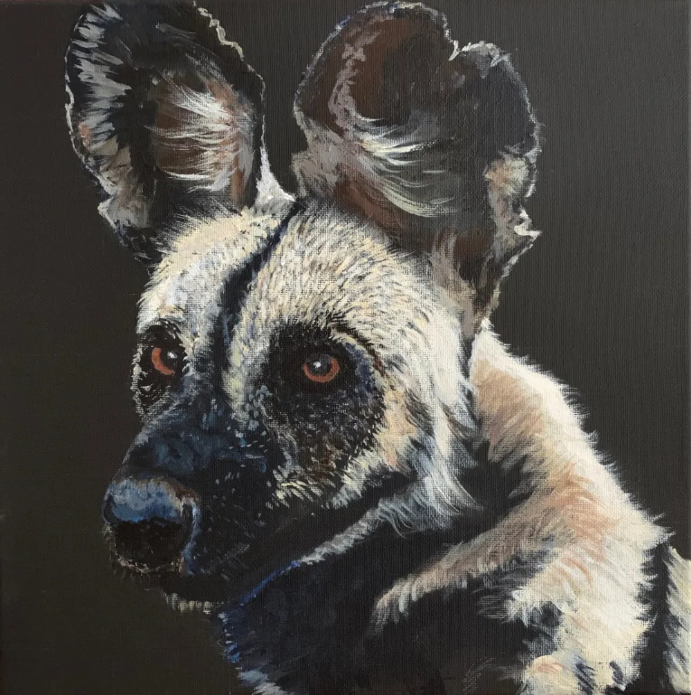 African Wild Dog