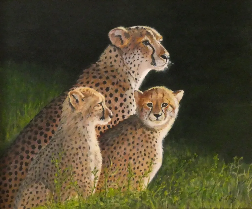 Cheetah Family