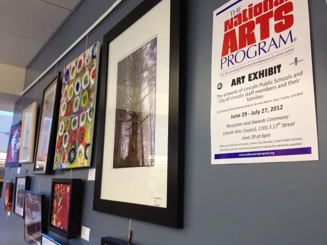 6th Annual Exhibit Artwork from the 6th Annual NAP Exhibition in Lincoln, NE on display at one of their library locations