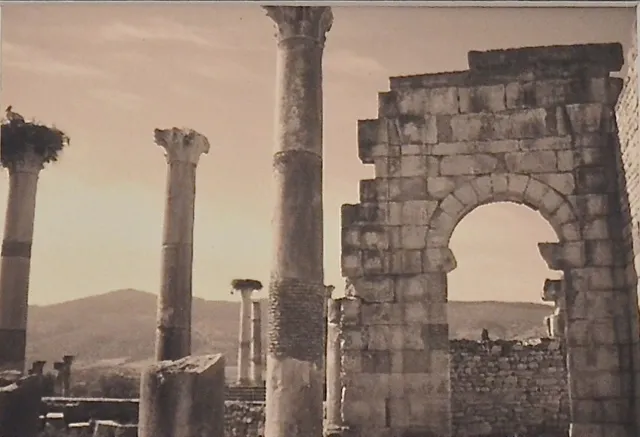 8th Annual Exhibit Volubilis, Morocco