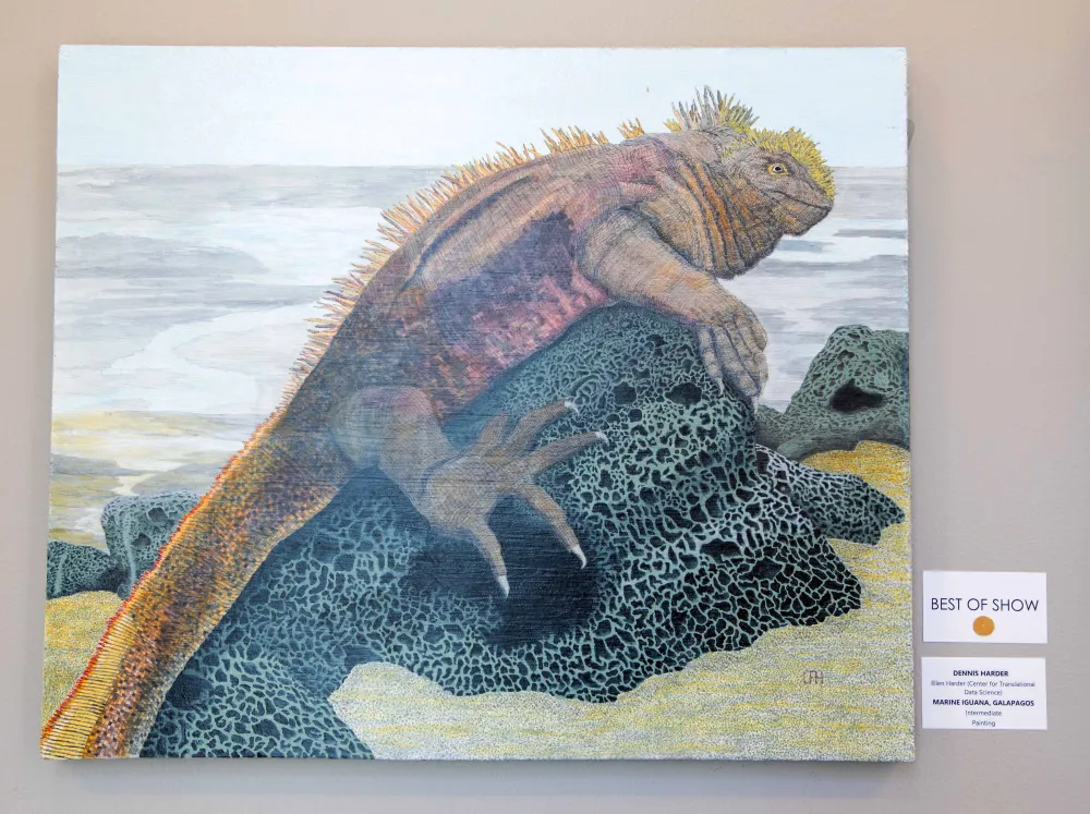 Marine Iguana