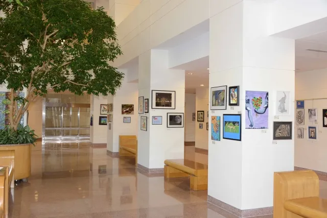 15th Annual Exhibit The hallways of the Charlotte-Mecklenburg Government Center full of NAP artwork