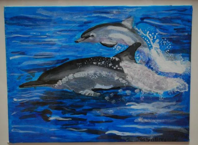 4th Exhibit Jumping, Splashing Dolphins