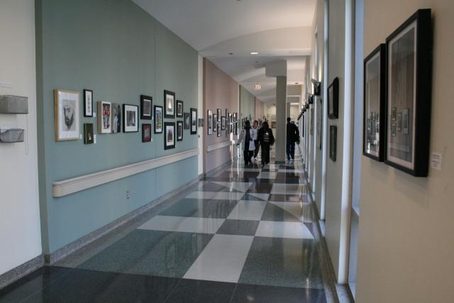 7th Annual Exhibit The DCAM Skybridge of The University of Chicago Medicine displayed more than 175 pieces of artwork from employees and their family members.
