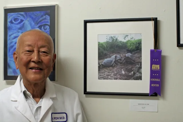 5th Annual Exhibit Protecting my Turtle