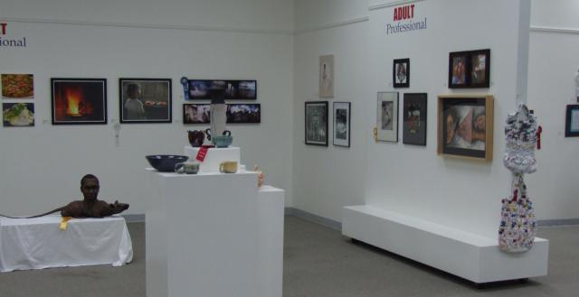 3rd Annual Exhibit Artwork on display at the 2009 NAP Exhibition in Savannah, GA