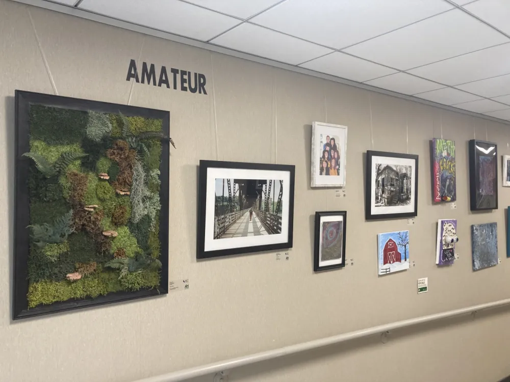 4th Annual Exhibit Huntsville Hospital Health System's 4th Annual National Arts Program Exhibit