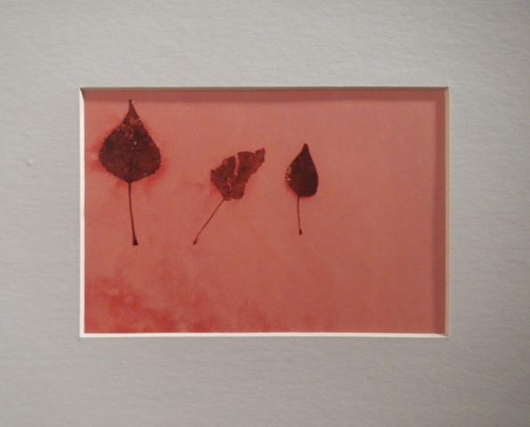 7th Annual Exhibit The Little Red Leaves
