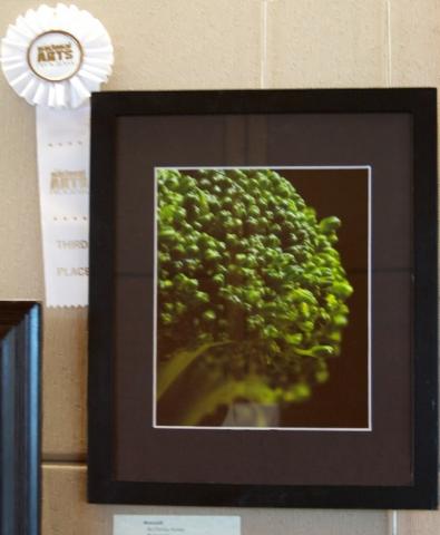 8th Annual Exhibit Broccolli