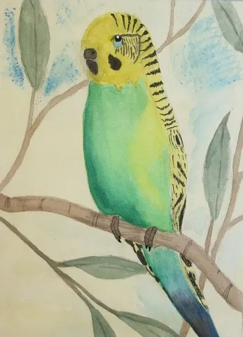 9th Annual Exhibit Parakeet