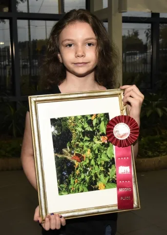 3rd Annual Exhibit My Summer Butterfly