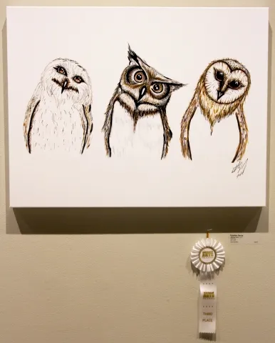11th Annual Exhibit Sibling Owls
