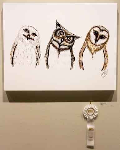 11th Annual Exhibit Sibling Owls