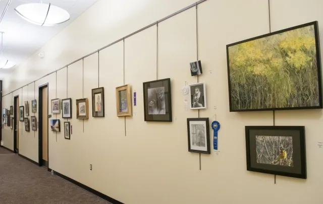 7th Annual Exhibit Artwork from the 7th Annual NAP Show on display at the Philip S. Miller Library in Front Range, CO