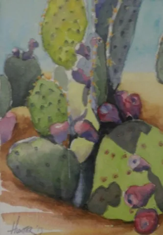 9th Annual Exhibit Prickly Pear Cactua