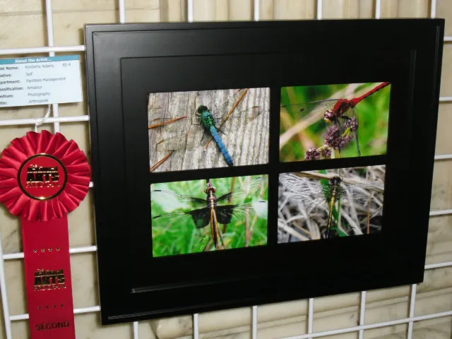 5th Annual Exhibit Arthropods