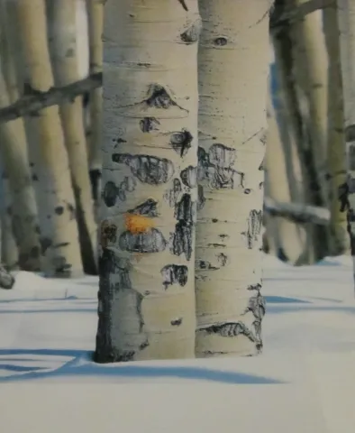 5th Annual Exhibit Winter Aspens