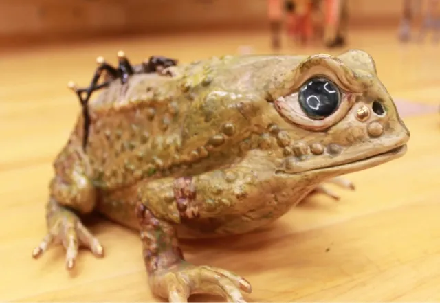 12th Annual Exhibit Gold Toed Toad