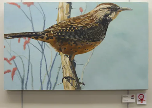 1st Annual Exhibit Cactus Wren