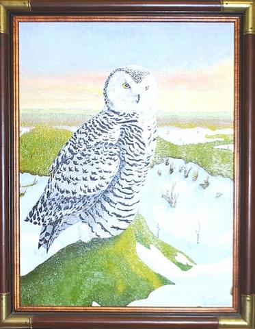 4th Annual Exhibit Snow Owl