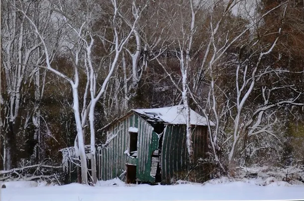 18th Annual Exhibit Snow