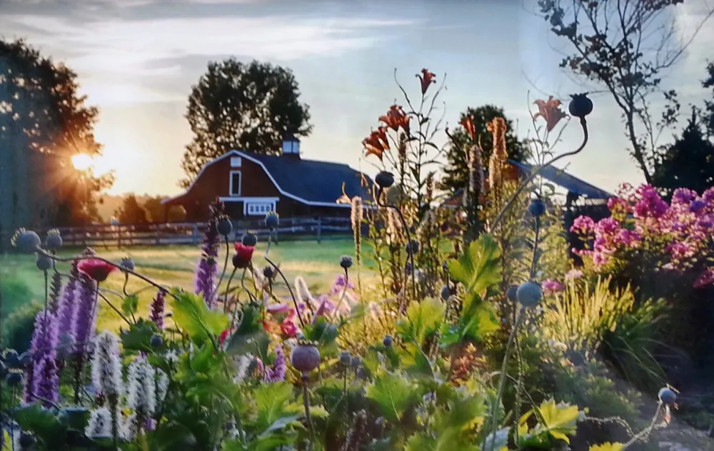 15th Annual Exhibit Summer Sunrise