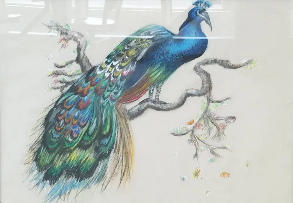 4th Annual Exhibit Resplendent Pavo