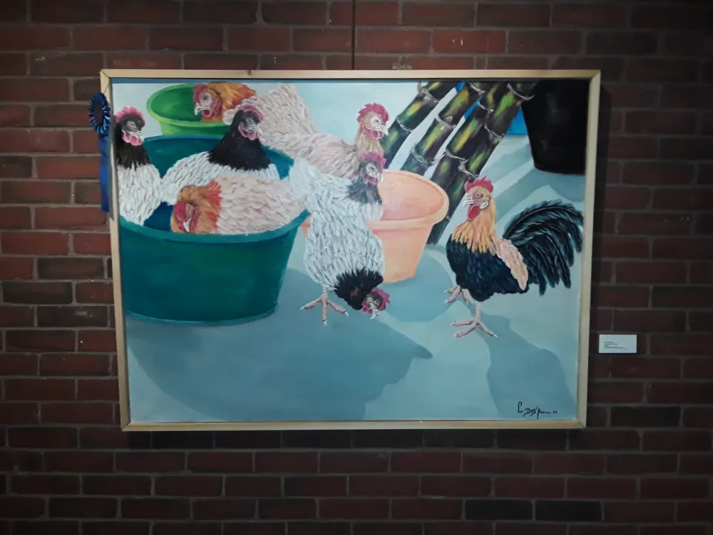 4th Annual Exhibit Cape Verdean Chickens