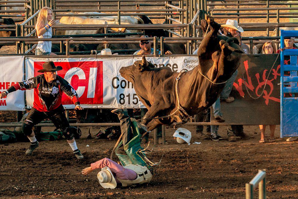 12th Annual Exhibit Bull Riding Cowboy
