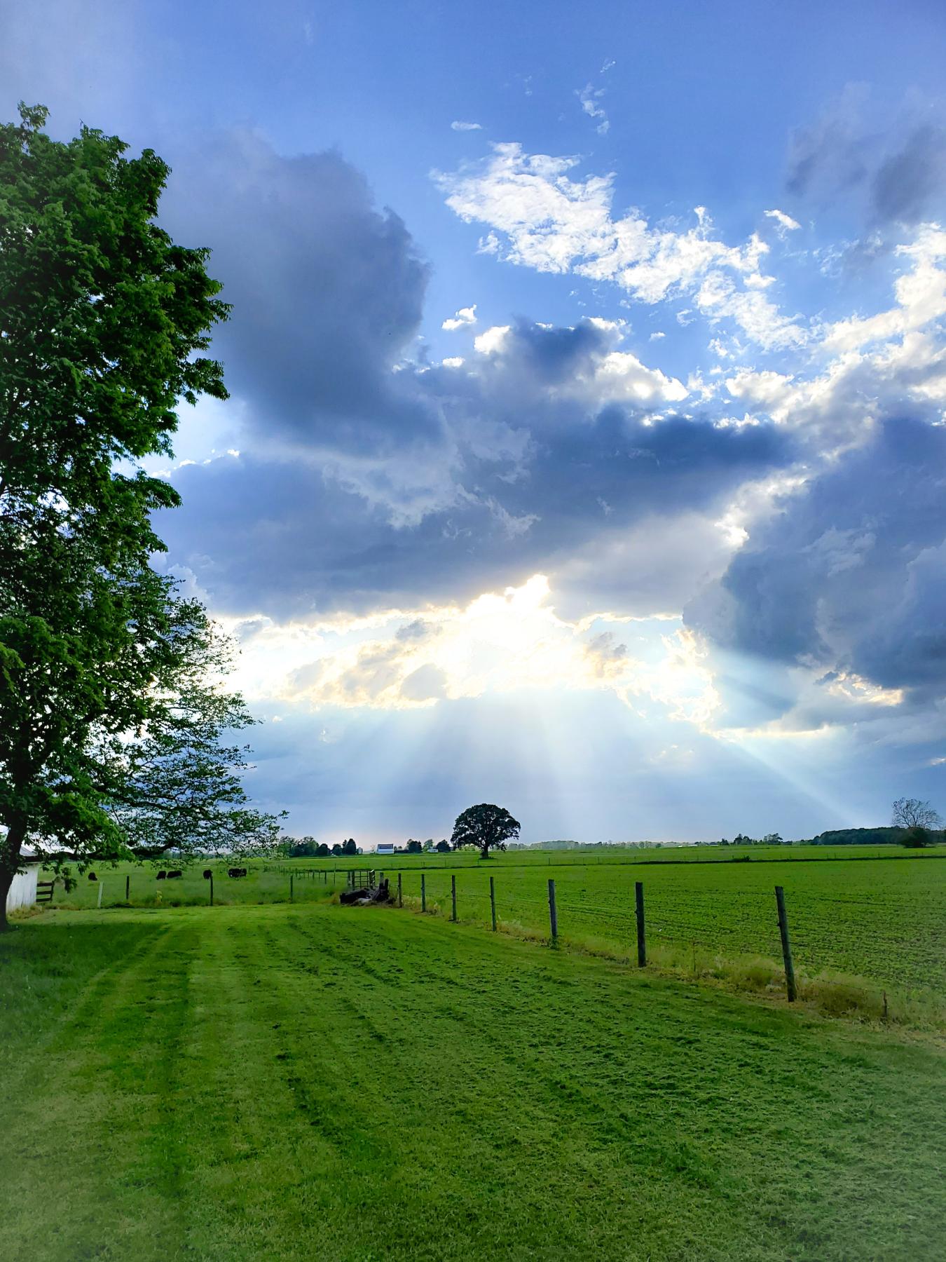 Sun rays beaming on farmers field