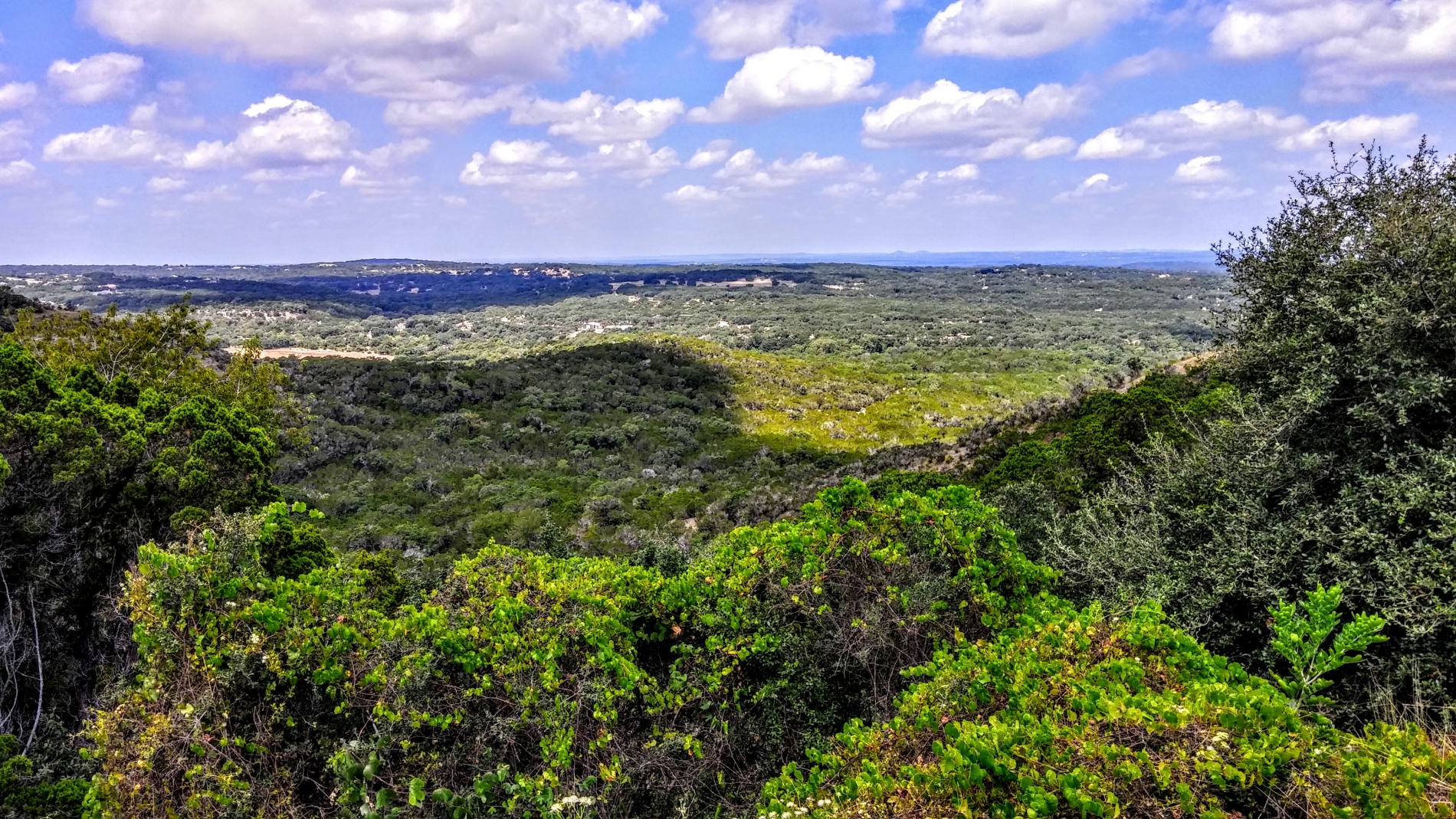 Hill country canvas