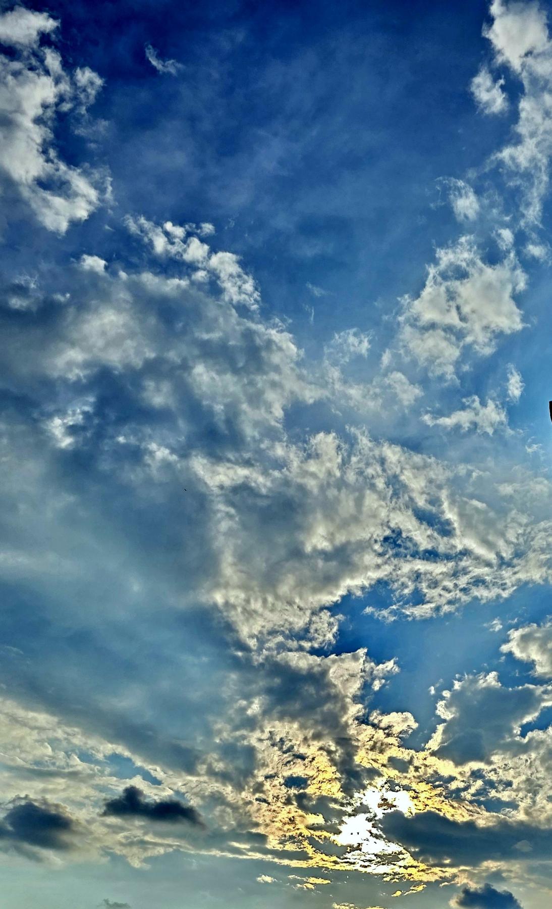 You never know what you're going to see when you look up.