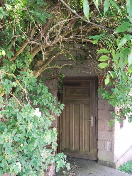 the hidden door
