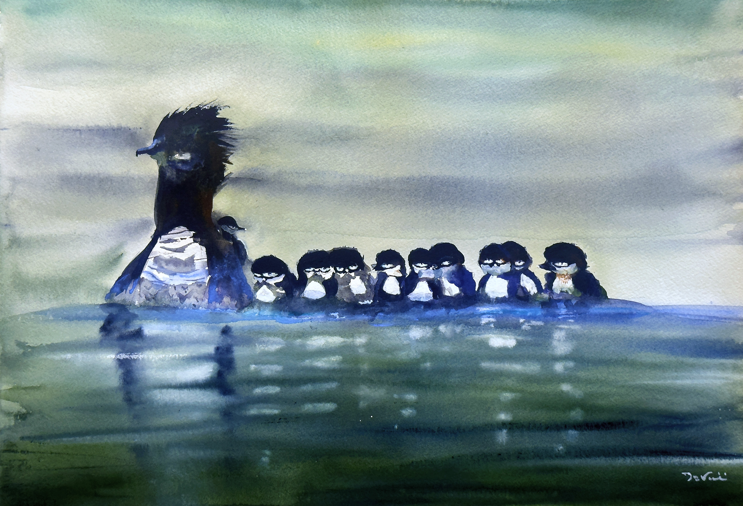 Ducks swimming, Common Merganser mother with Brood of chicks