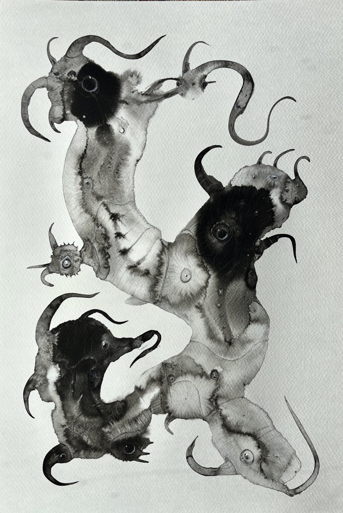 Painting in India ink washes, February, 2026.