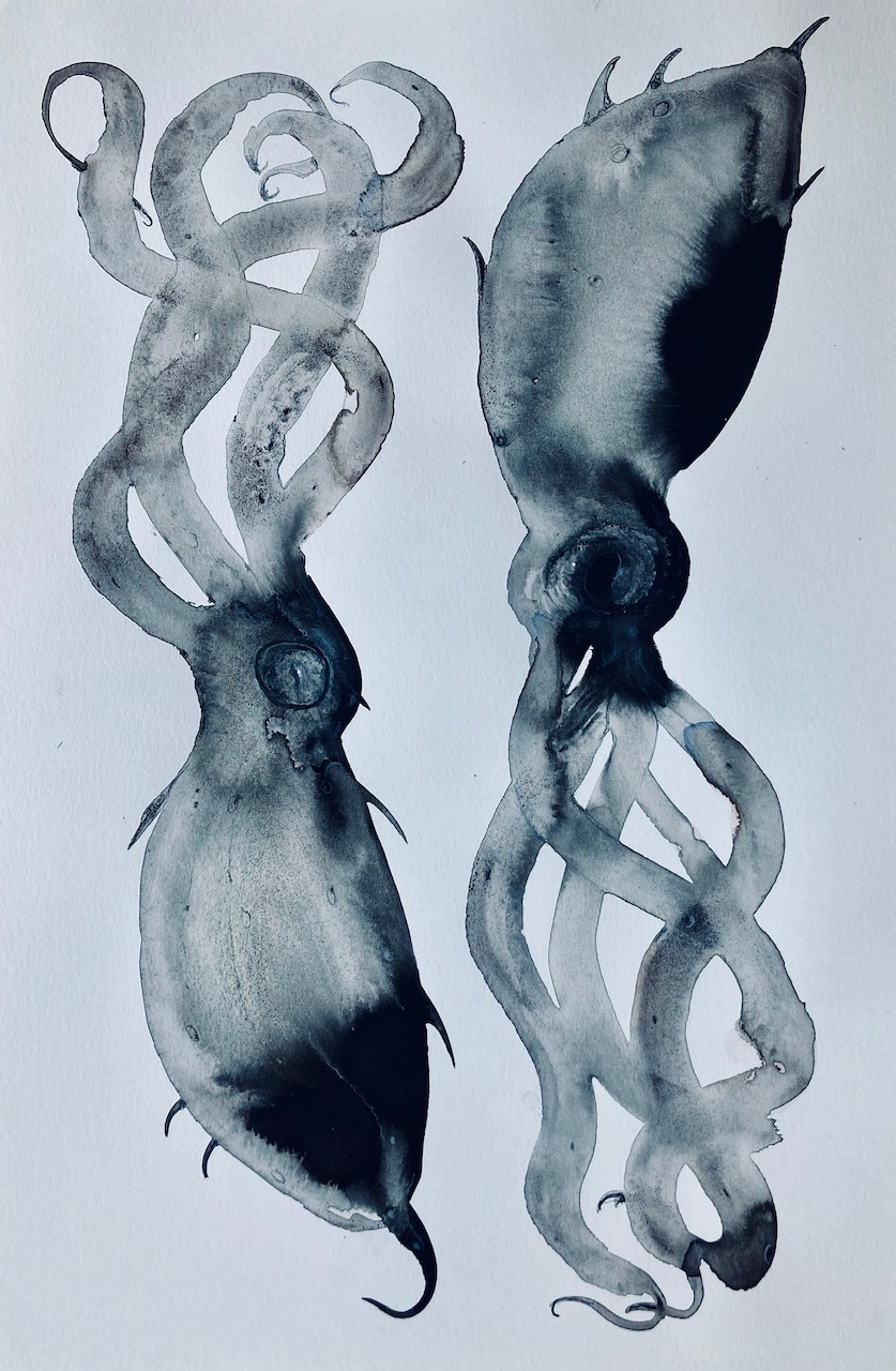 Cephalopod painting in India Ink, 2024.