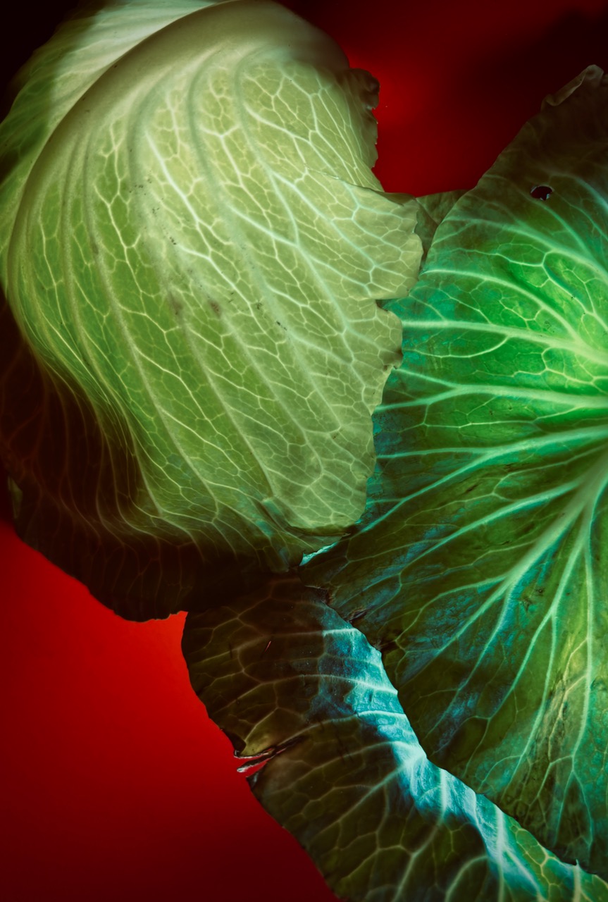 "Cabbage Town", photo of illuminated vegetable, May 1, 2025.