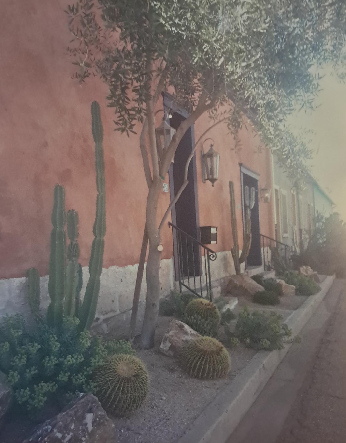 Photo on canvas, Traditional Tucson adobe entry doors. Oranges, greens, fading light.