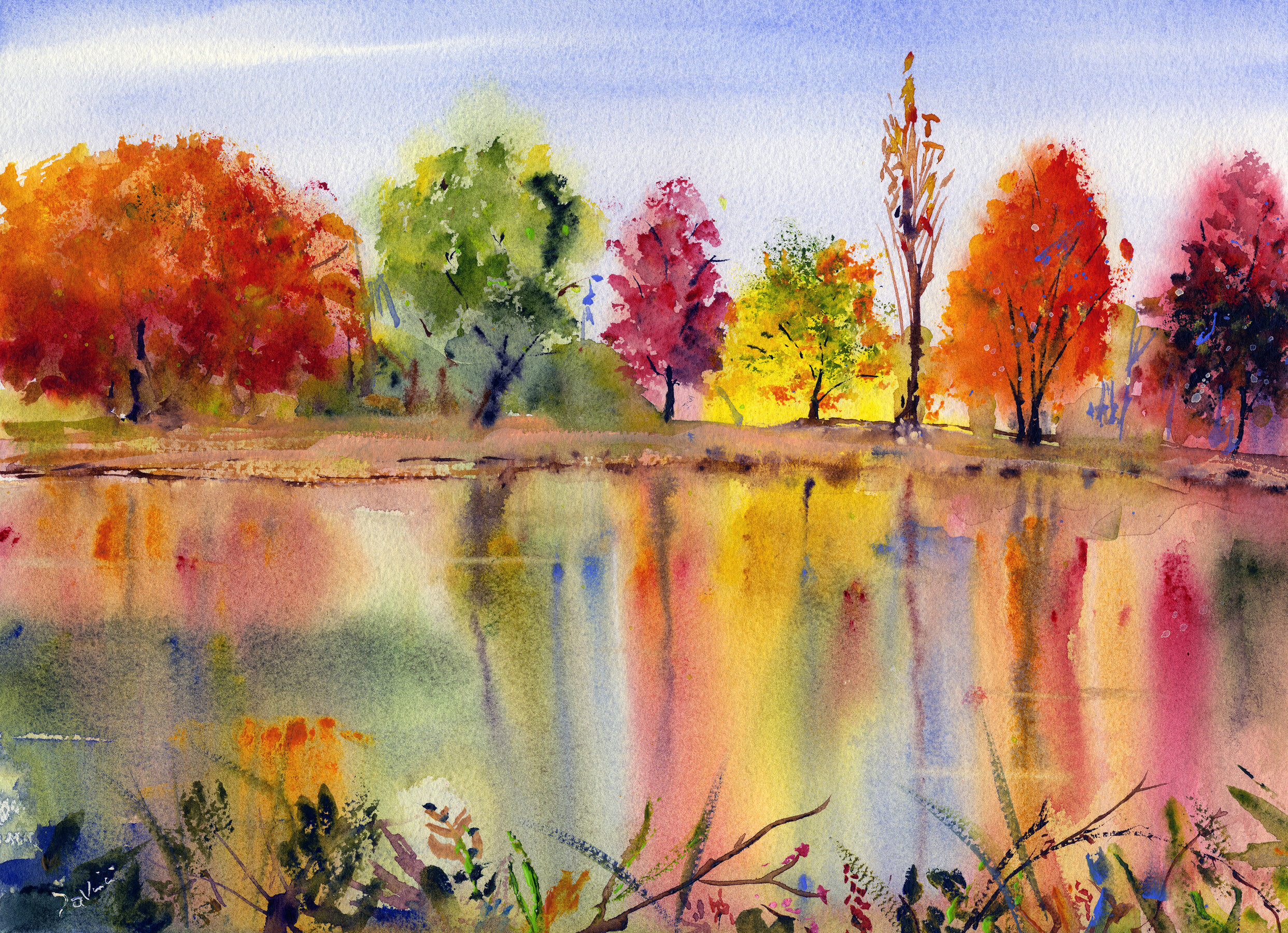 Colorful Fall Trees in full Bloom mid October