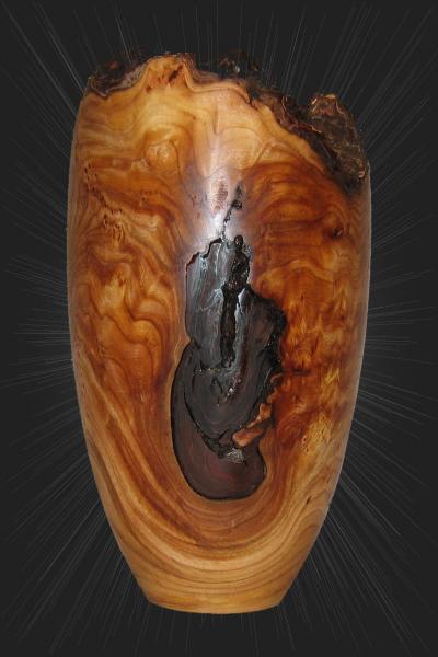 Natural Edge Elm Burl Vessel