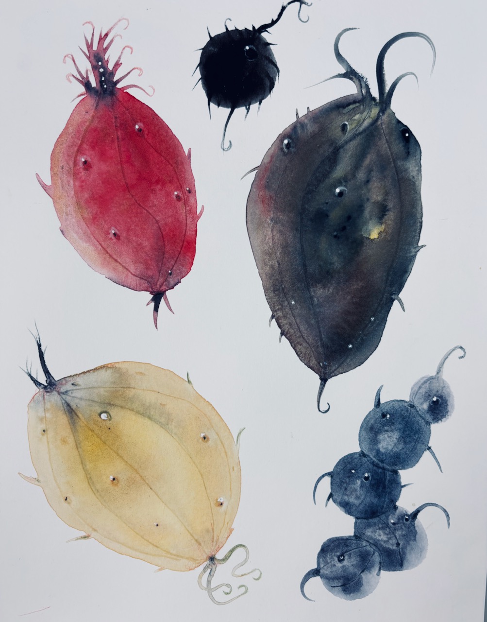 Painting in gouache,  February 2025. 