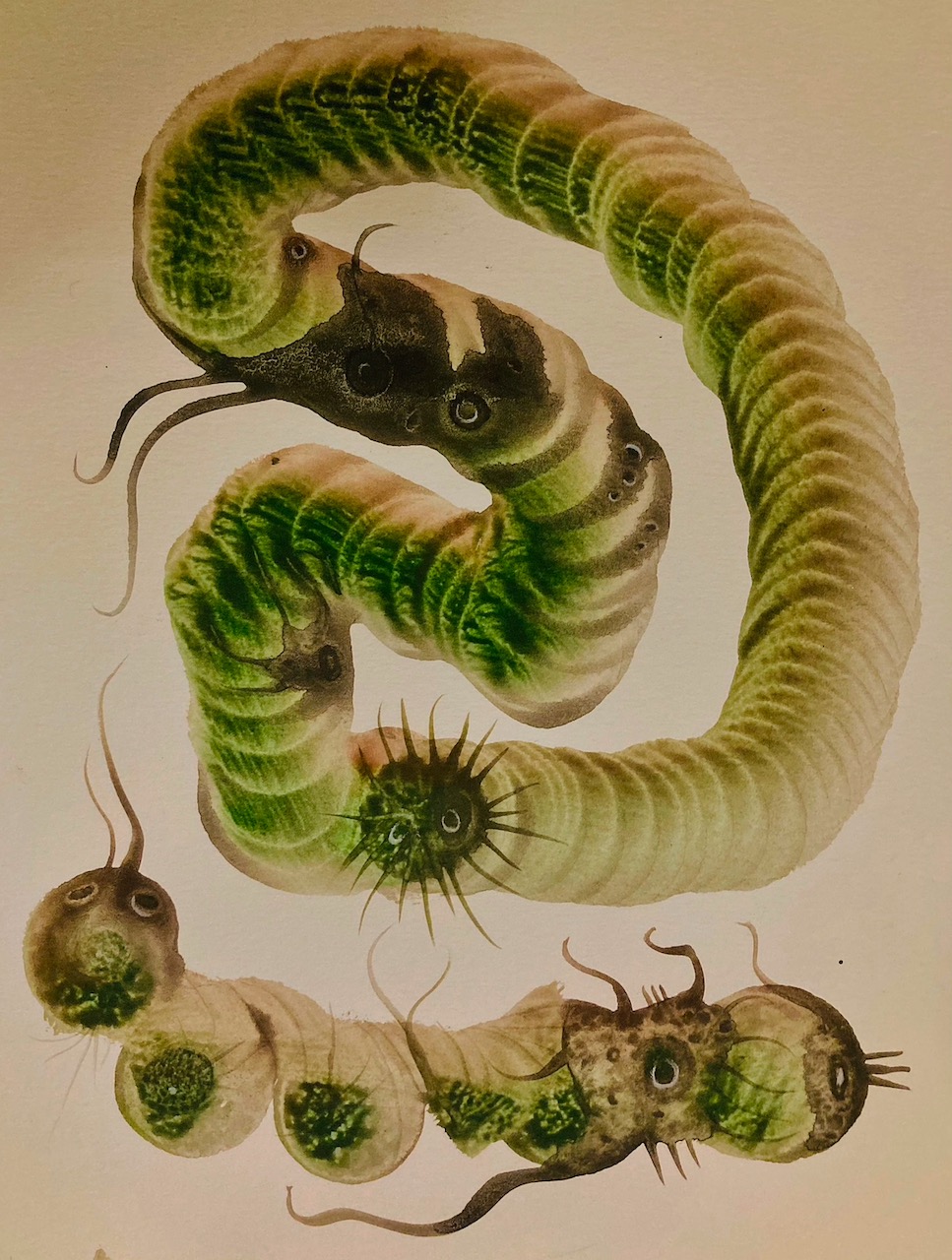 Painting in watercolor, 2022. 