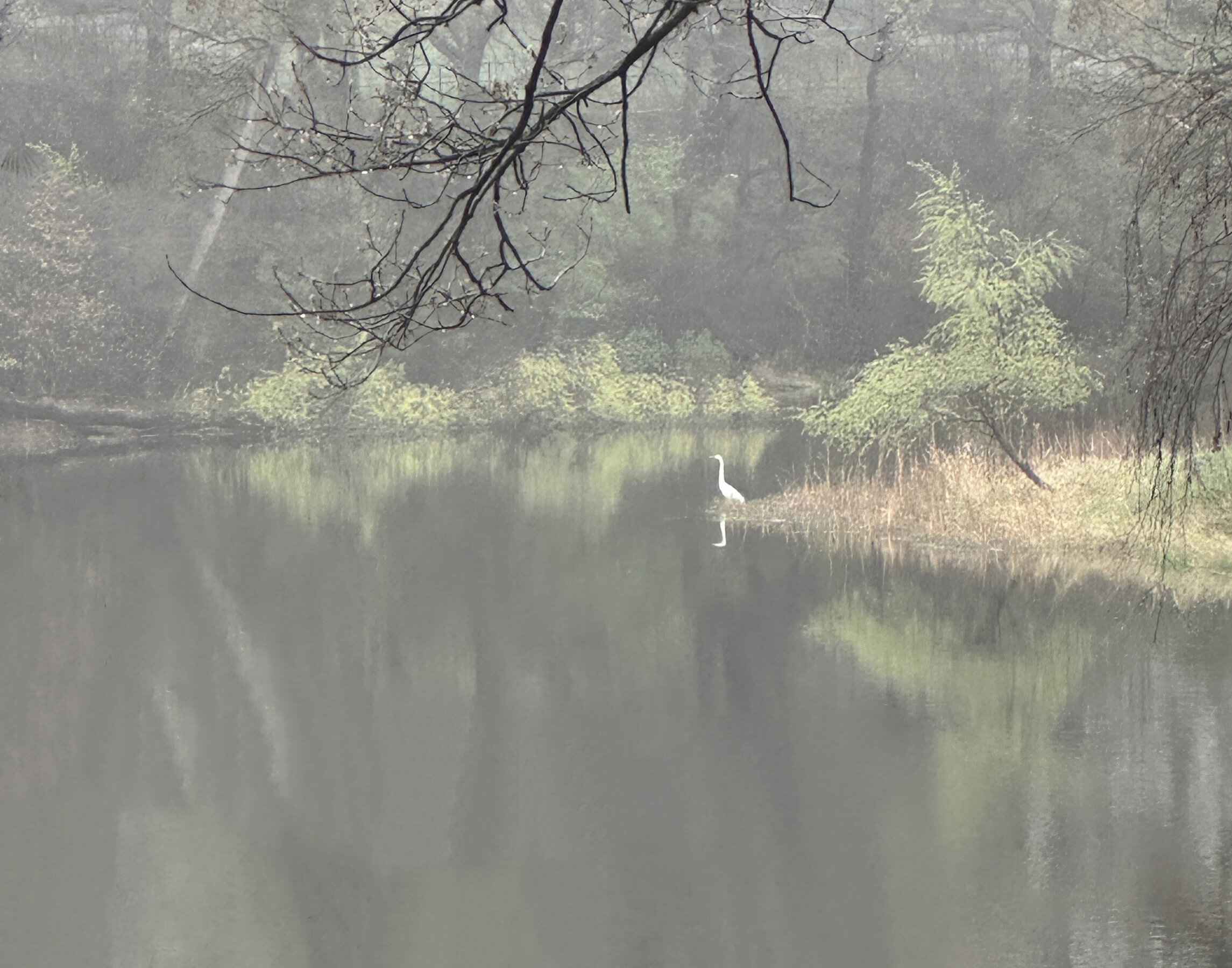 A peaceful morning scene on Lake Emily.